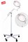 Светильник медицинский напольный Masterlight 20F LED  10.71021.102 - фото 5147